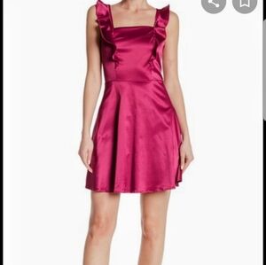 THE VANITY ROOM Ruffled Raspberry Strap Dress